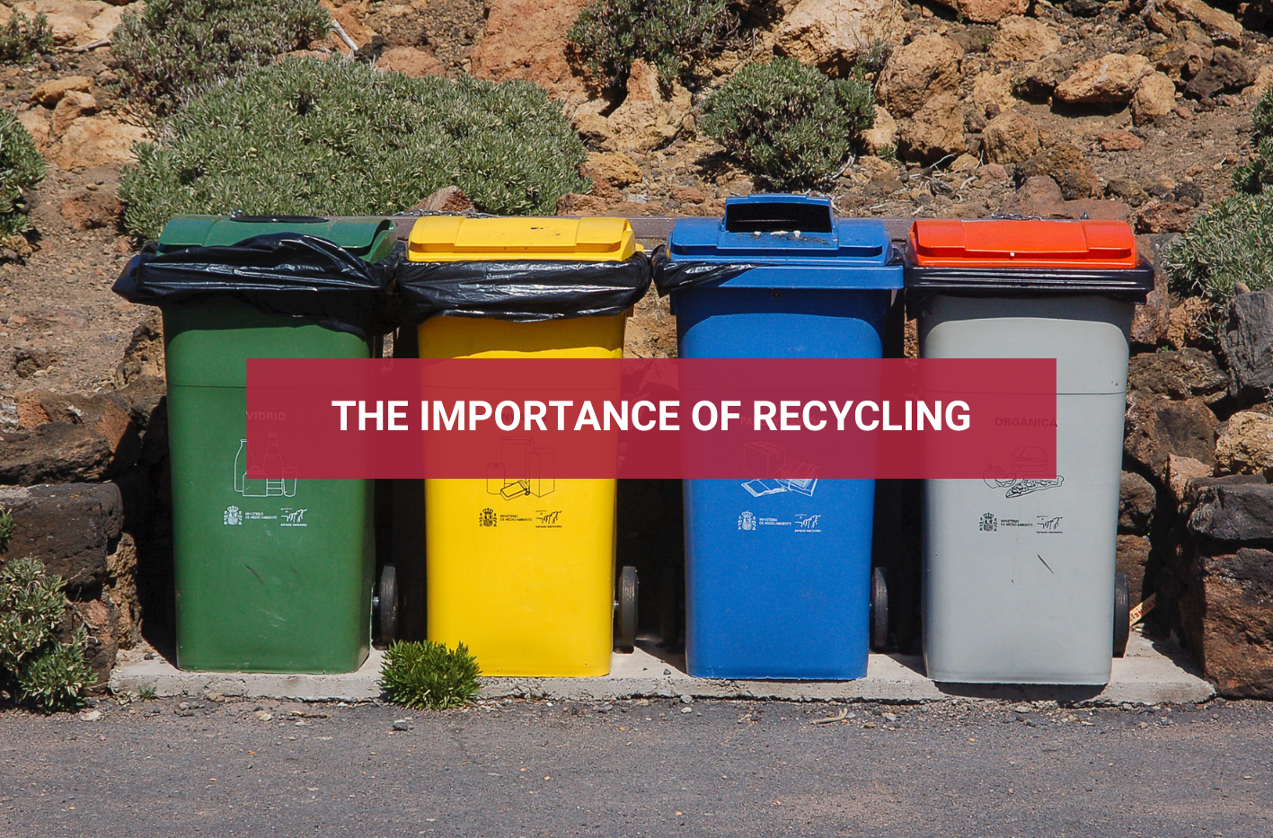 Recycling bins